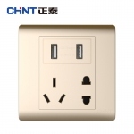 正泰（CHNT）NEW7-Z13232A NEW7Z开关插座/香槟金/五孔插座带双USB（2.1A）