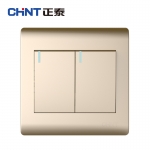 正泰（CHNT） NEW7-Z00402A 香槟金二开双控开关面板（2只装）