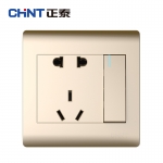 正泰（CHNT） NEW7-Z41702A 香槟金一开单控开关、五孔插座
