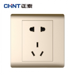 正泰（CHNT） NEW7-Z11102A 香槟金五孔插座（2只装）
