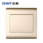 正泰（CHNT） NEW7-Z00102A NEW7Z开关插座/香槟金/一开单控开关