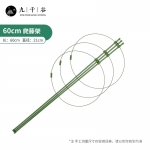 九千谷 植物攀爬架包钢管 花盆爬藤花架蔷薇月季葡萄固定支柱蟹爪兰铁线莲昙花卉支撑防倒固定架子60cm4634