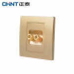 正泰（CHNT）开关插座墙壁86型电源面板内嵌钢架NEW7L毓琇系列香槟金 弱电系列 二孔音箱插座