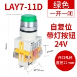 德力西电气 LAY7系列按钮开关 LAY7-11D24V绿1个 1个