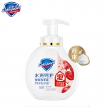 舒肤佳  抑菌泡沫洗手液红石榴香300g健康抑菌泡沫细腻