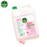 滴露（Dettol） 抑菌洗手液滋润倍护5L 大桶家庭装补充装 抑菌99.99% 水润保湿