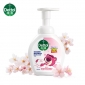 滴露（Dettol） 泡沫抑菌洗手液花香型250ml 草莓熊限定版 水润泡泡香氛