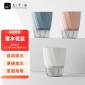 九千谷 花盆塑料 自动吸水懒人可储水盆室内阳台透明盆 中号3色混装 4343
