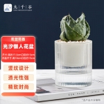 九千谷 花盆自动吸水 懒人可储水花盆室内阳台透明塑料大号口径15cm4336