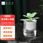 九千谷 花盆自动吸水 懒人可储水花盆室内阳台透明塑料小号口径10cm 4329