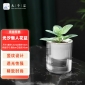 九千谷 花盆自动吸水 懒人可储水花盆室内阳台透明塑料小号口径10cm 4329