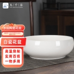 九千谷 水仙花盆陶瓷小号睡莲碗莲铜钱草水培水养花卉绿植花盆无孔4381