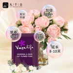 九千谷 Vaselife鲜花保鲜剂通用型荷兰进口玫瑰花鲜切花营养液保鲜液2899