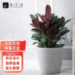 九千谷 9171北欧简约仿水泥花盆树脂塑料加厚吸水懒人轻奢花盆中号灰色口径22cm