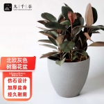 九千谷 9188北欧简约仿水泥花盆树脂塑料加厚吸水懒人轻奢花盆大号灰色口径28cm