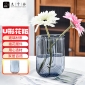 九千谷 2706玻璃花瓶摆件水养花瓶插花干花假花仿真花瓶灰色大口径高18cm