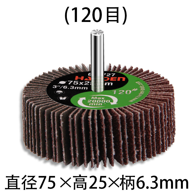 SKU-12-高品质1个，120目直径75_高25_柄6.3.jpg